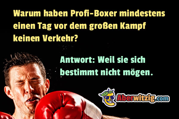Boxerwitz