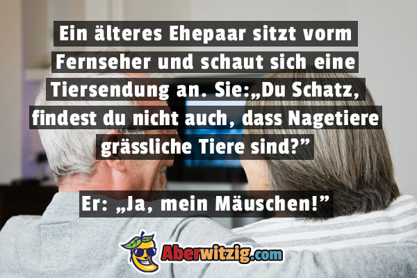 Bildwitz lteres Ehepaar