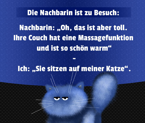 Katzenwitz