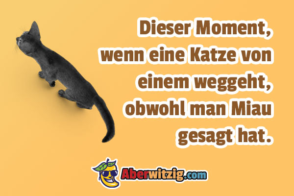 Katze Spruch witzig