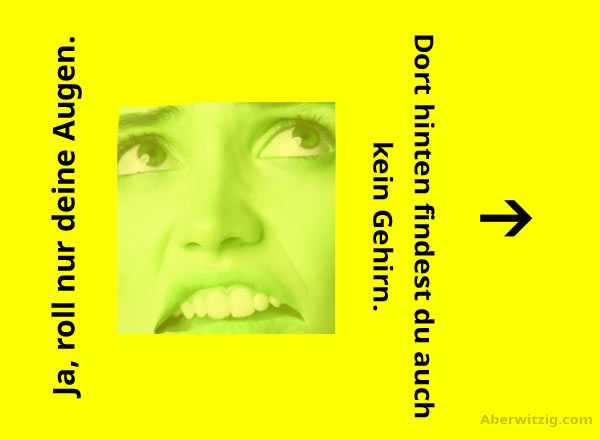 Dissspruch