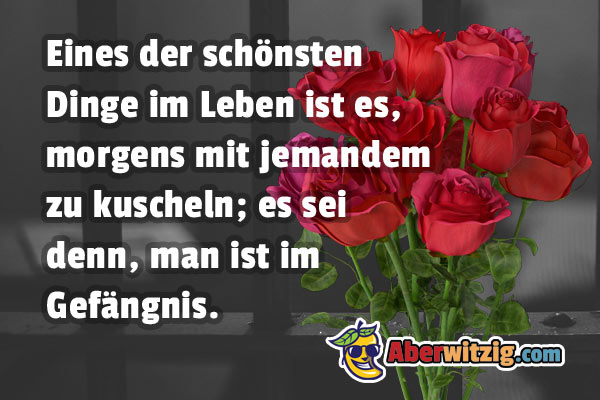 Gefngniswitz