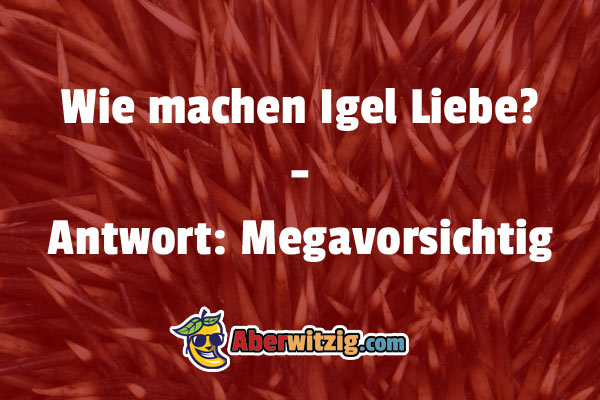 Igelwitz